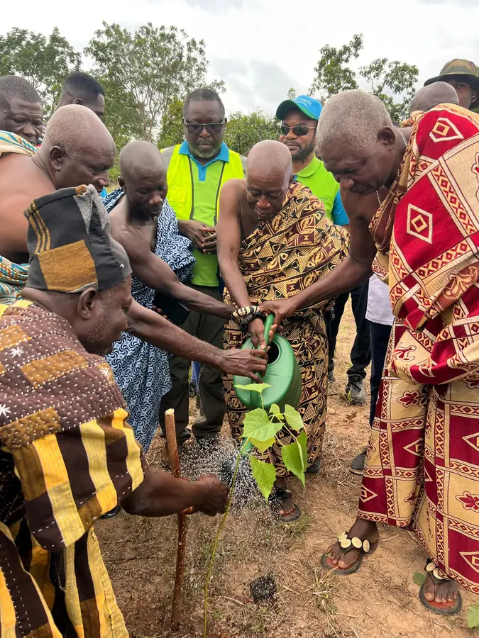 Environmental and social issues and mitigation measures